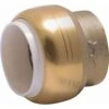 SharkBite Push To Connect 1 In. Brass Cap 2 SharkBite Push To Connect 1 In. Brass Cap -ACE Shop ed7ee97e 045d 4a8d b431 be7f3db61903