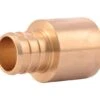 SharkBite 3/4 In. FPT X 3/4 In. D FPT Brass Female Adapter -ACE Shop f30b05fe 2c2e 47ee 88bf bb23f4d38316